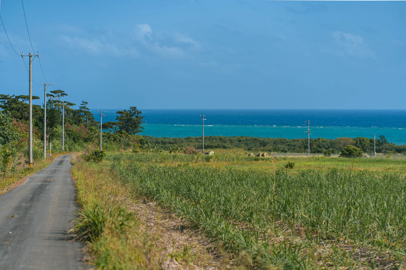青い海沿いに続く田舎道